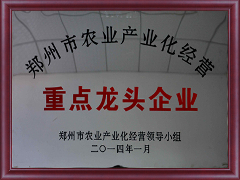 重點(diǎn)龍頭企業(yè)